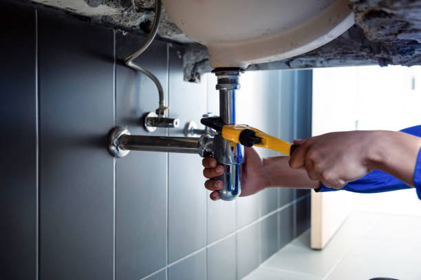  Burkesville, KY Plumbing services Pros